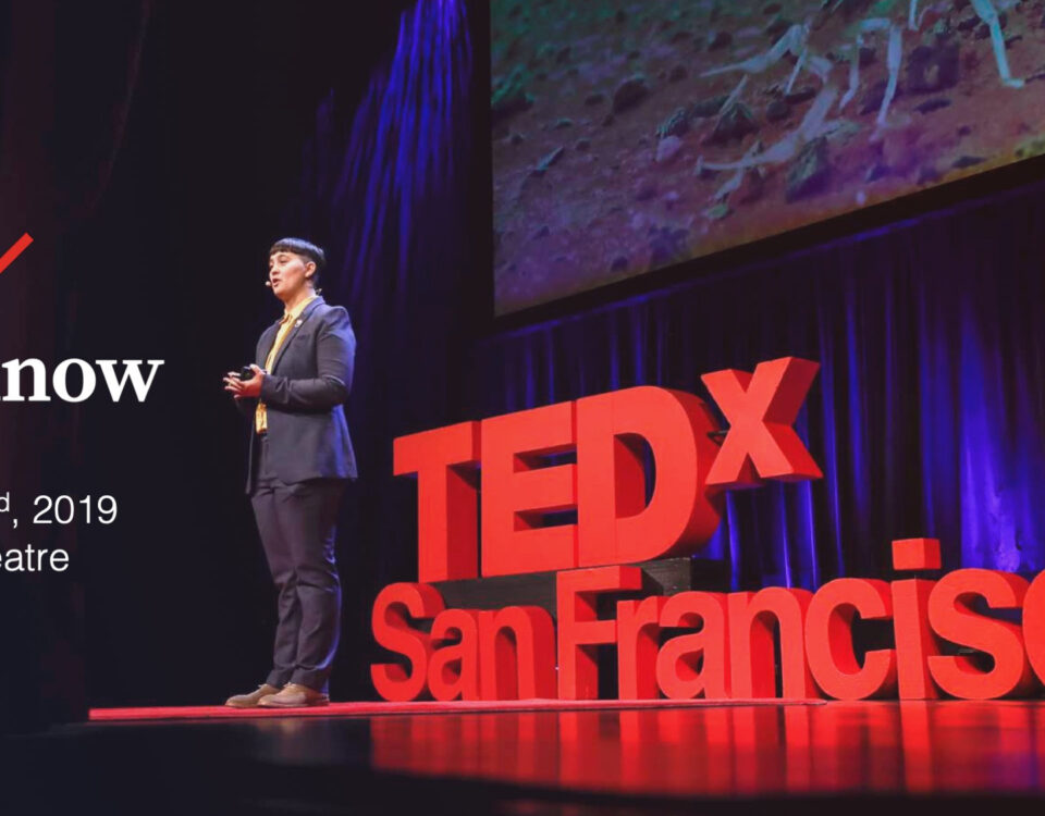 TEDx San Francisco 2019 Charles Costa